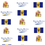BMSR Provides Tailored Solutions for Ship Owners